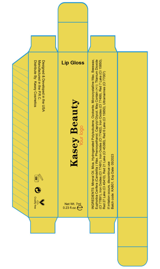 Private label 6 color lip gloss palette - LG0272
